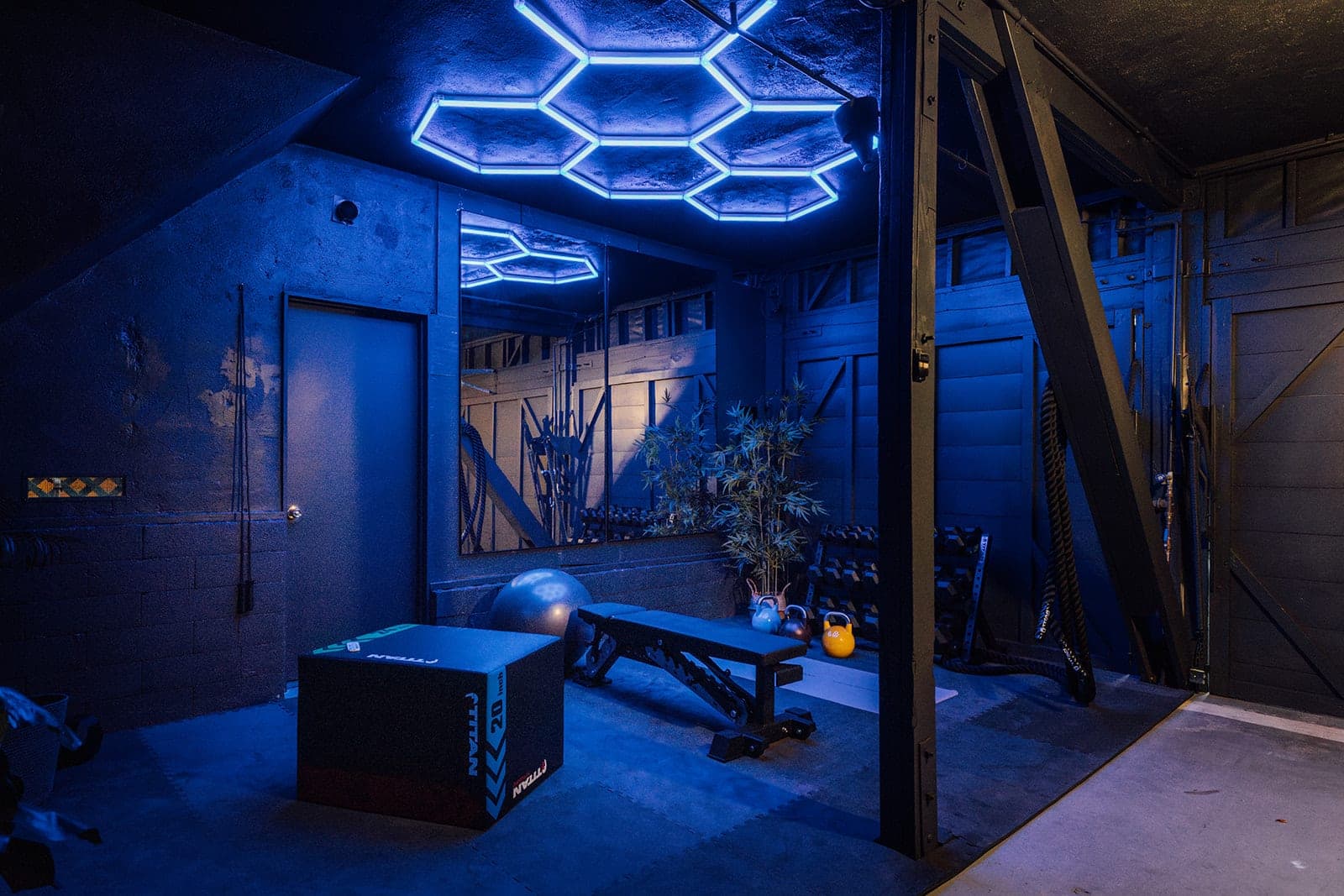 The gym under electric-blue hex lighting: a bench, plyo box, competition kettlebells, dumbbells, and battle ropes