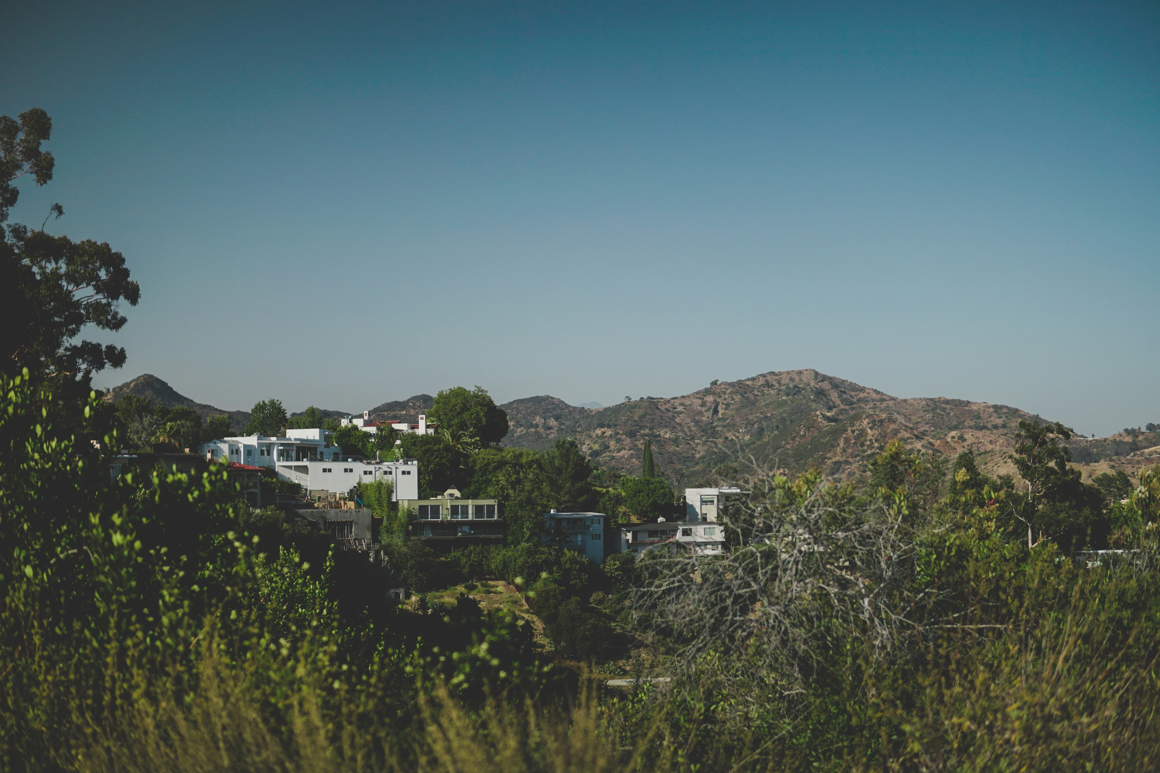 The wooded hills of Laurel Canyon rising above the city